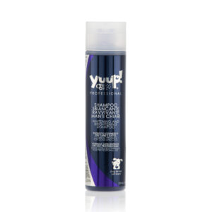 Shampoo Whitening and Brightening Professional Yuup
